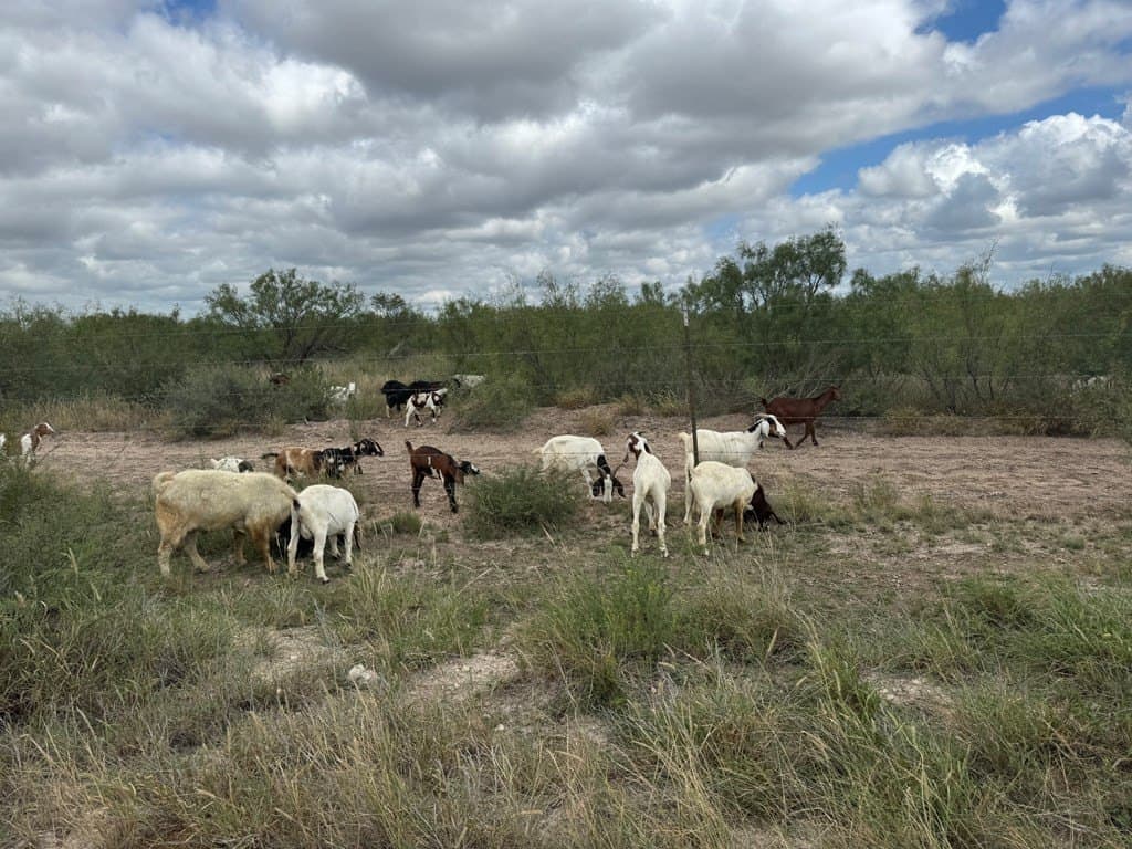 20.73 acres in Maverick County - photo 10