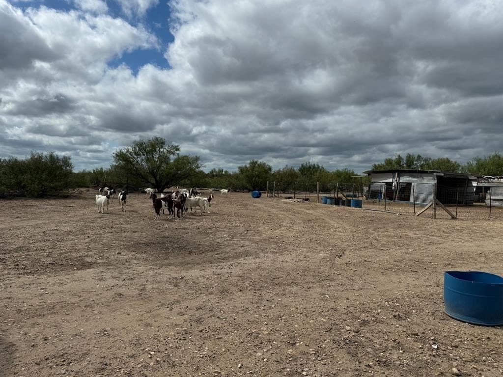 20.73 acres in Maverick County - photo 16