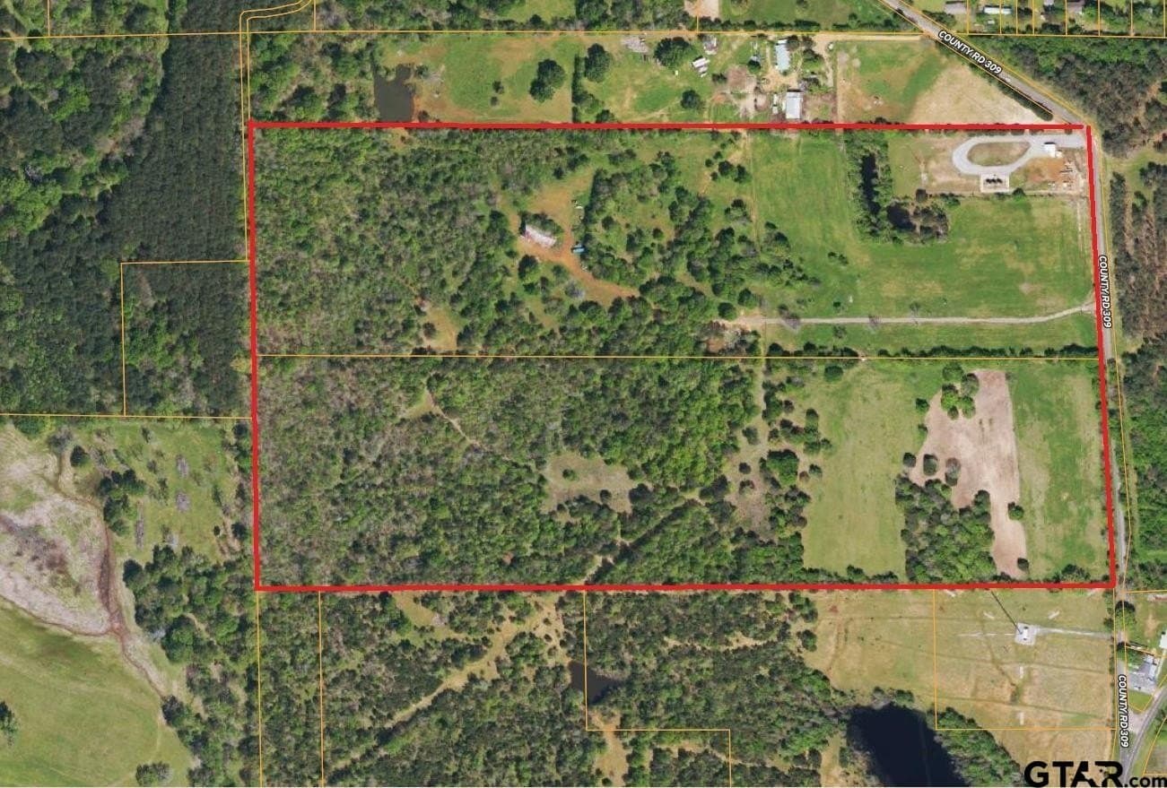 42.58 acres in Anderson County - photo 5