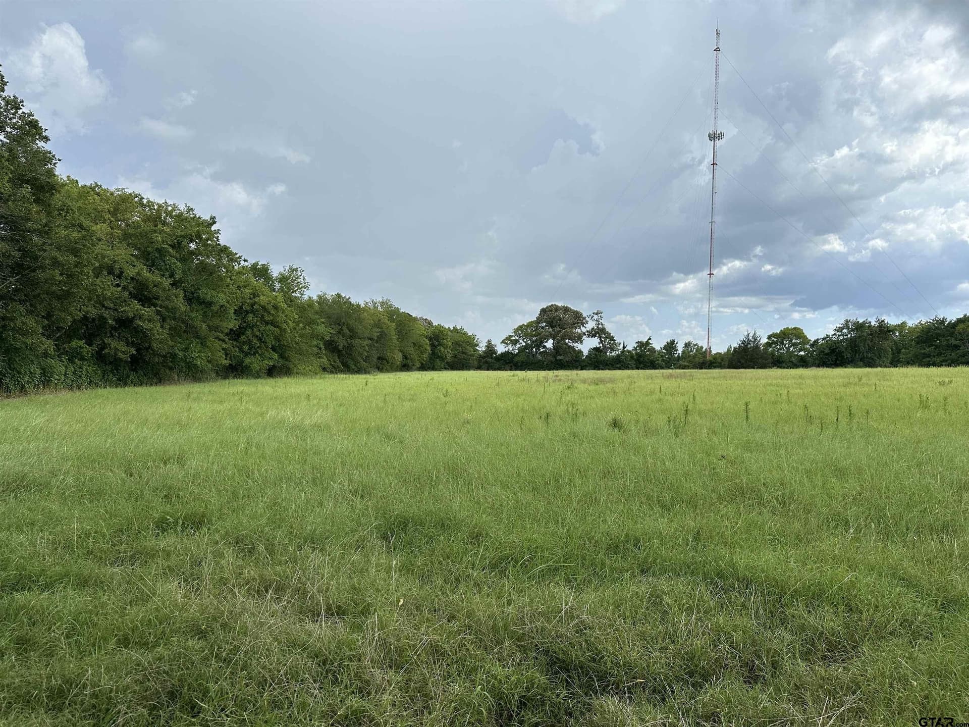 42.58 acres in Anderson County - photo 17