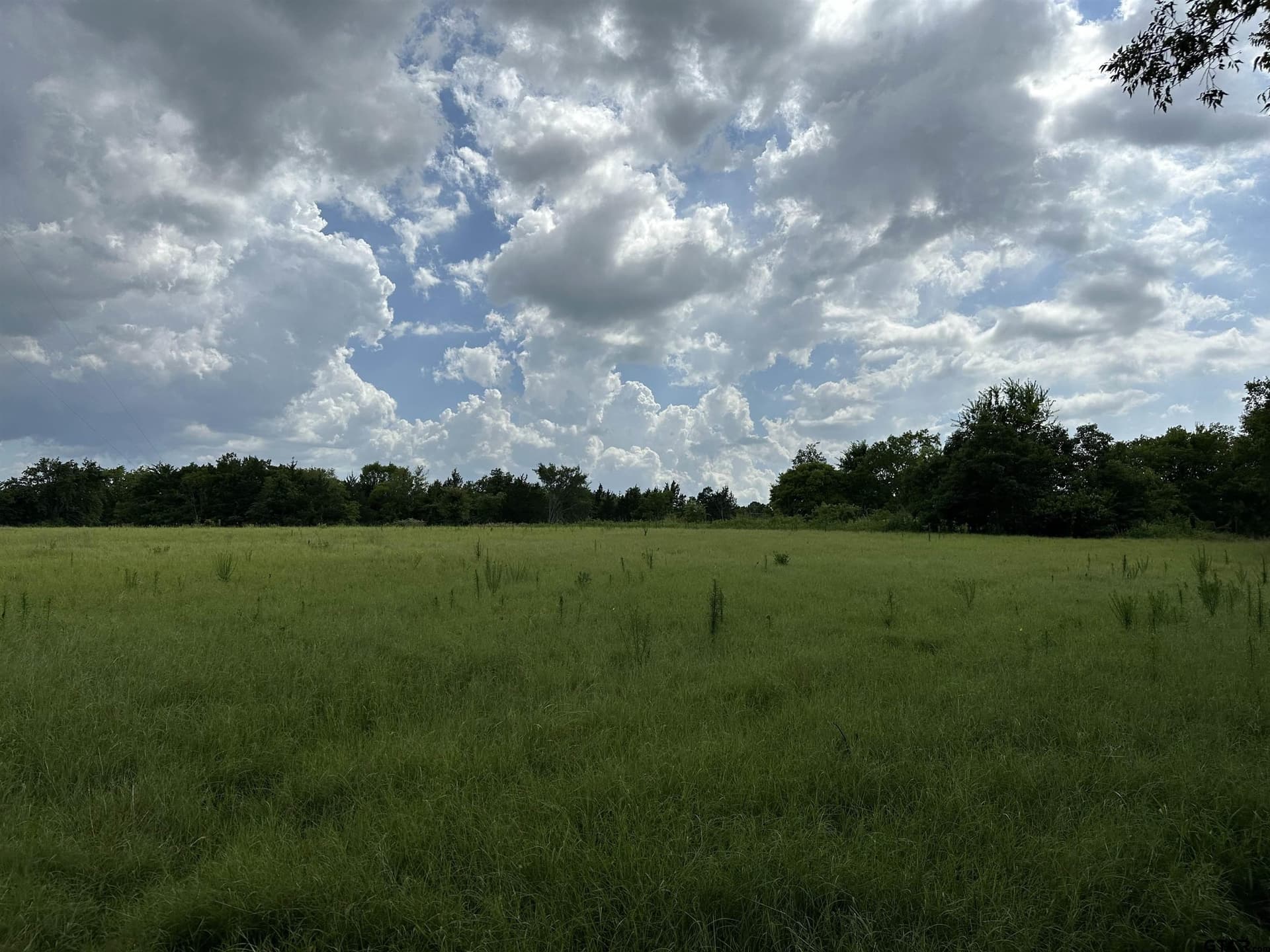 42.58 acres in Anderson County - photo 18