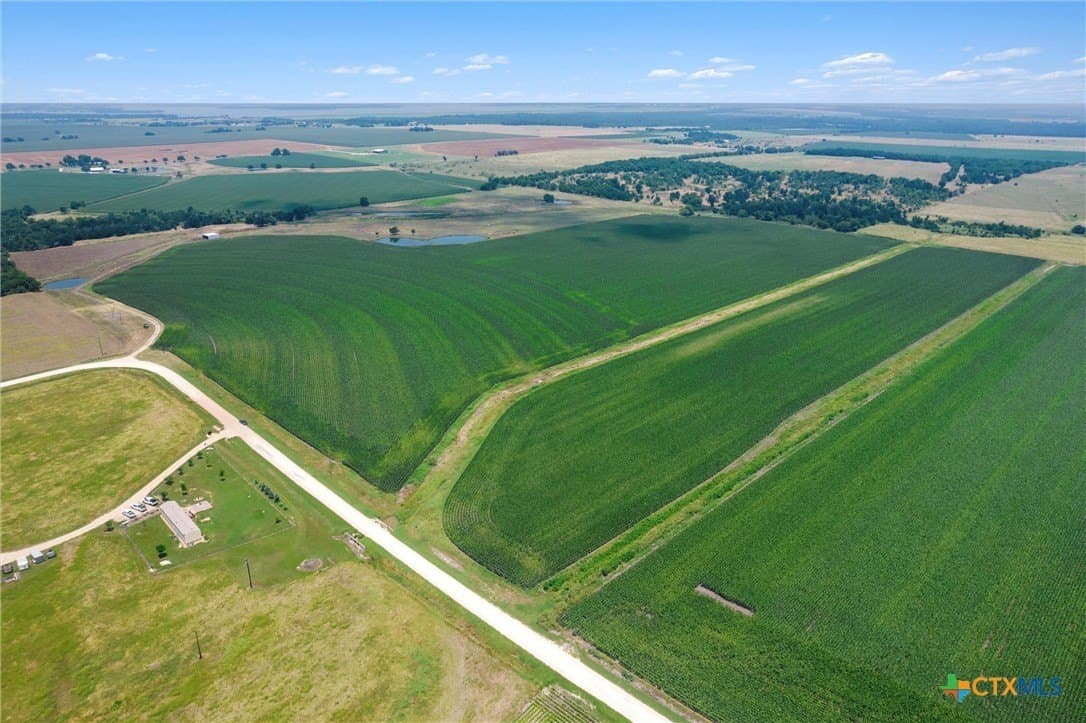 114.43 acres in Williamson County - photo 4