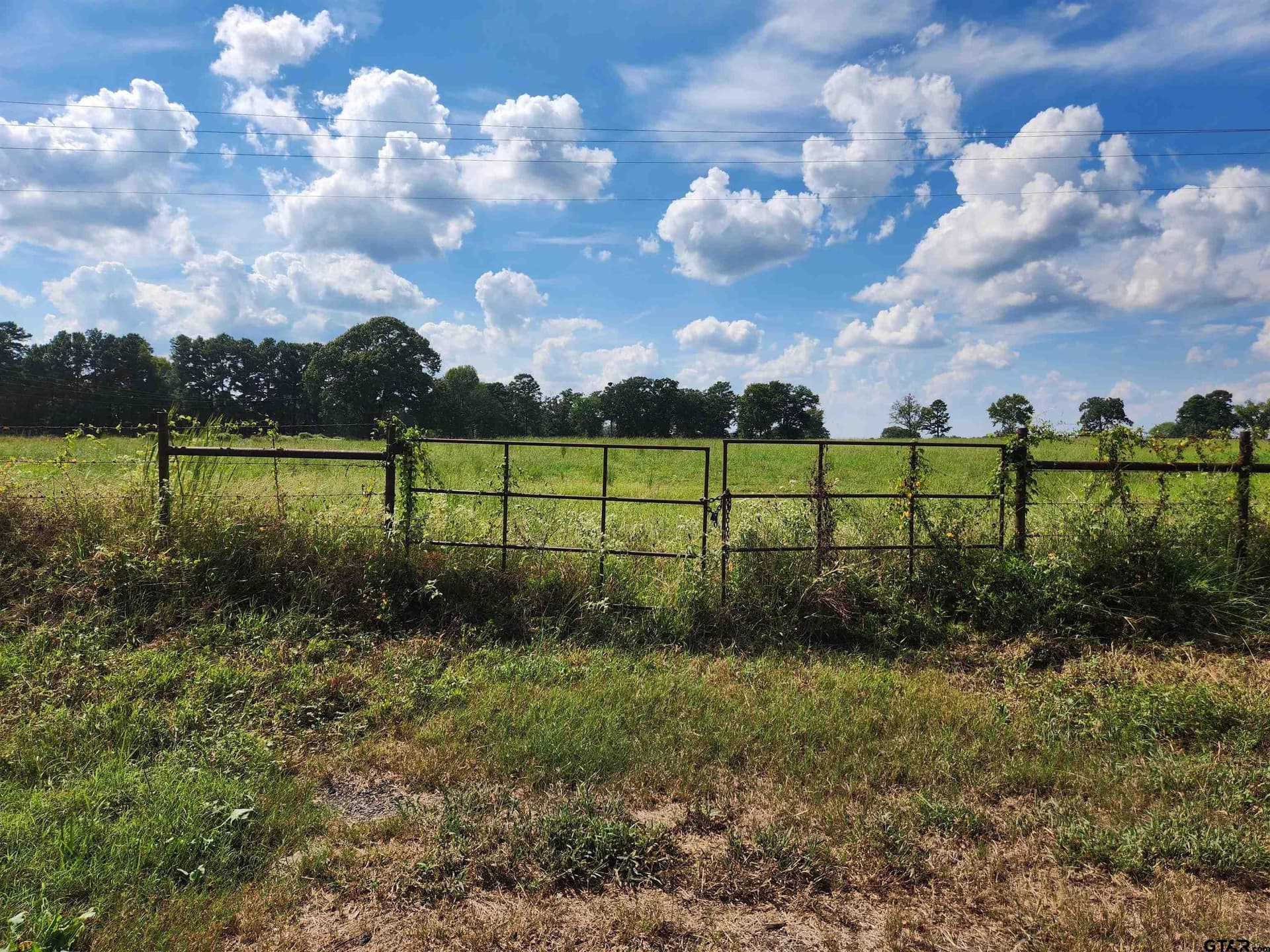 4 acres in Titus County - photo 2