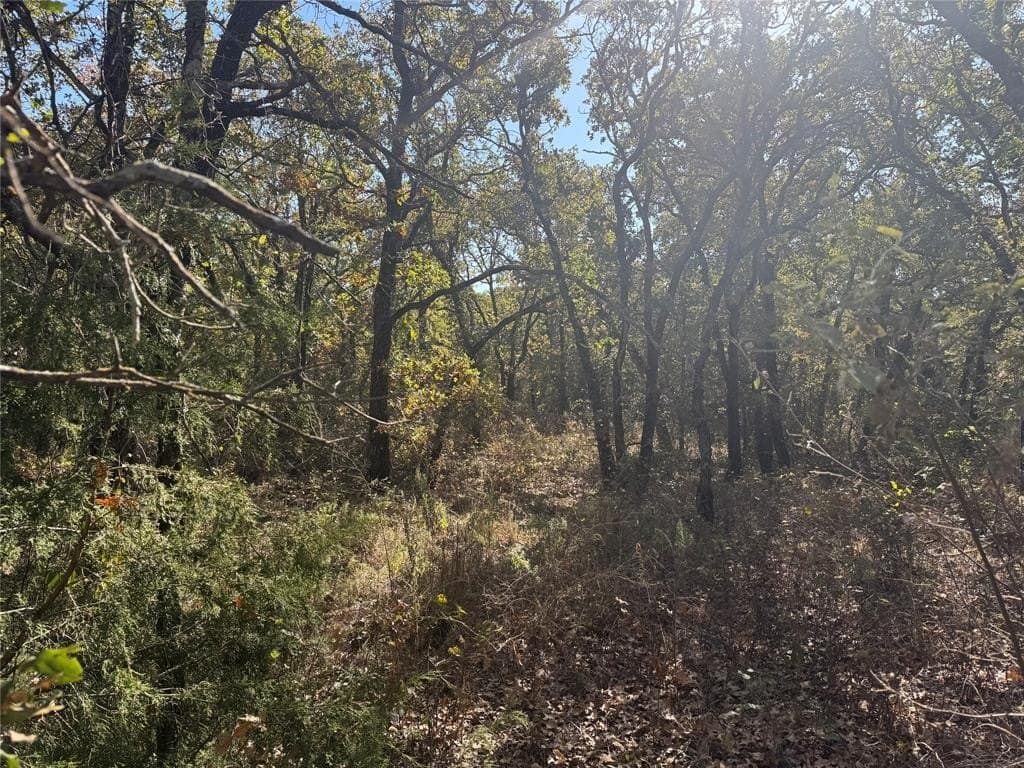 15 acres in Jack County - photo 22