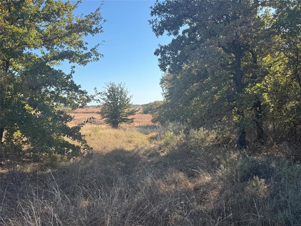 15 acres in Jack County - photo 19