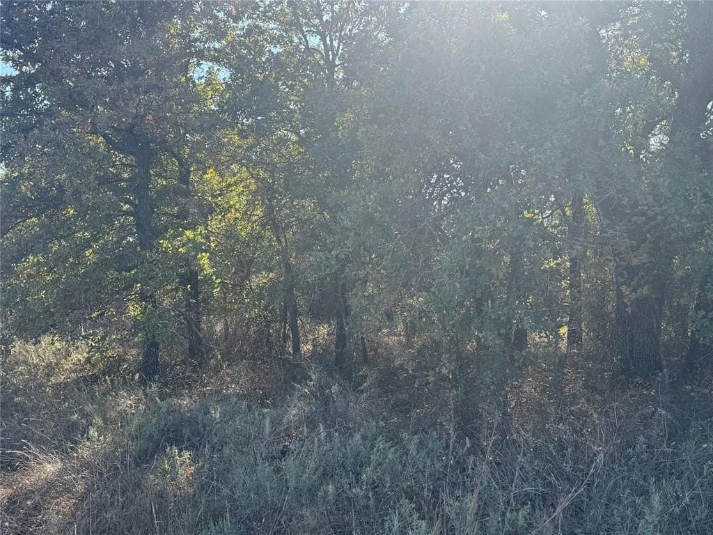 15 acres in Jack County - photo 4
