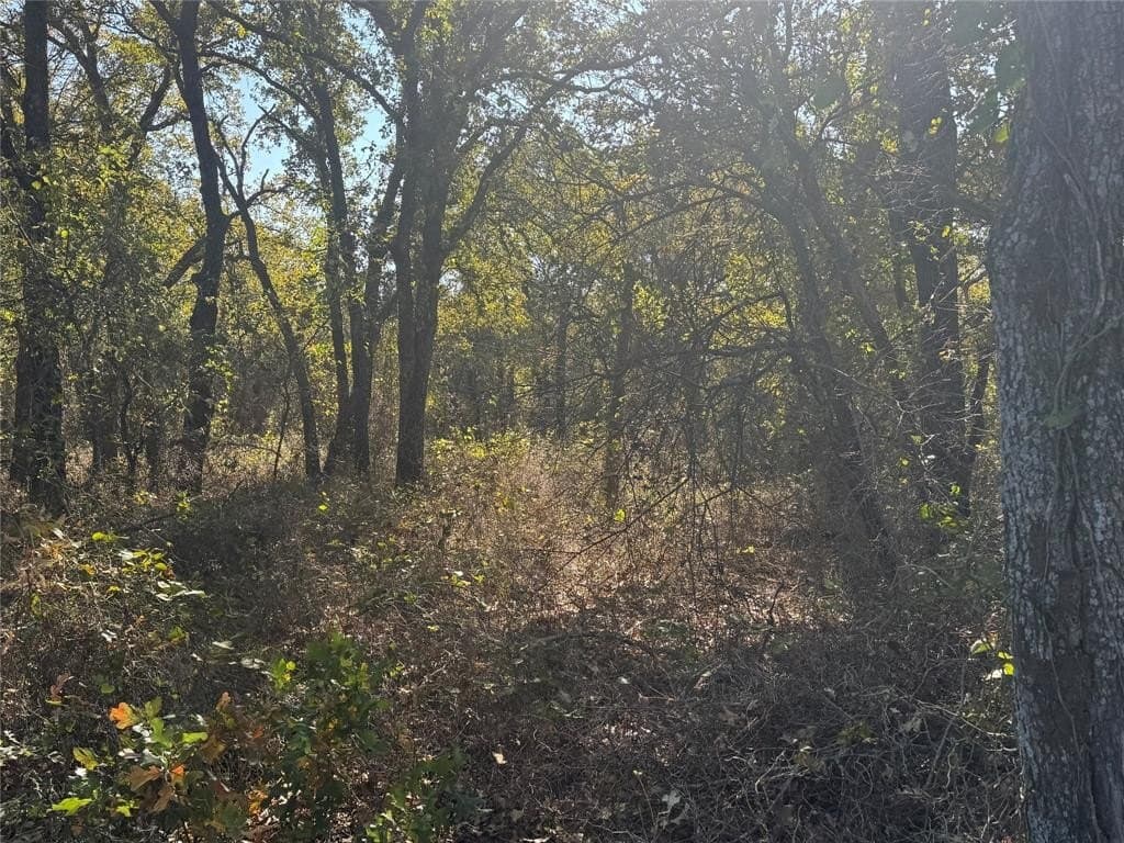 15 acres in Jack County - photo 20