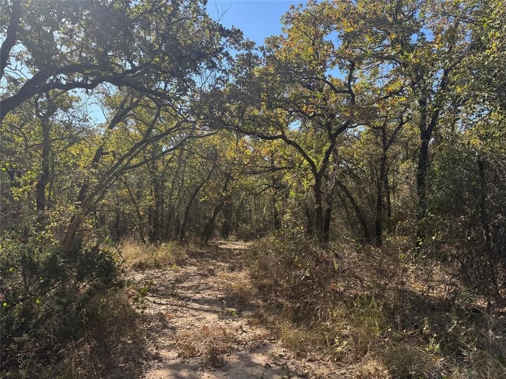 15 acres in Jack County - photo 23