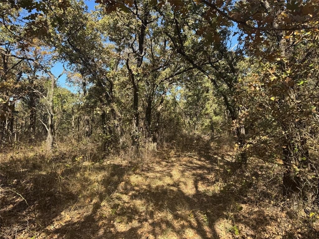 15 acres in Jack County - photo 21