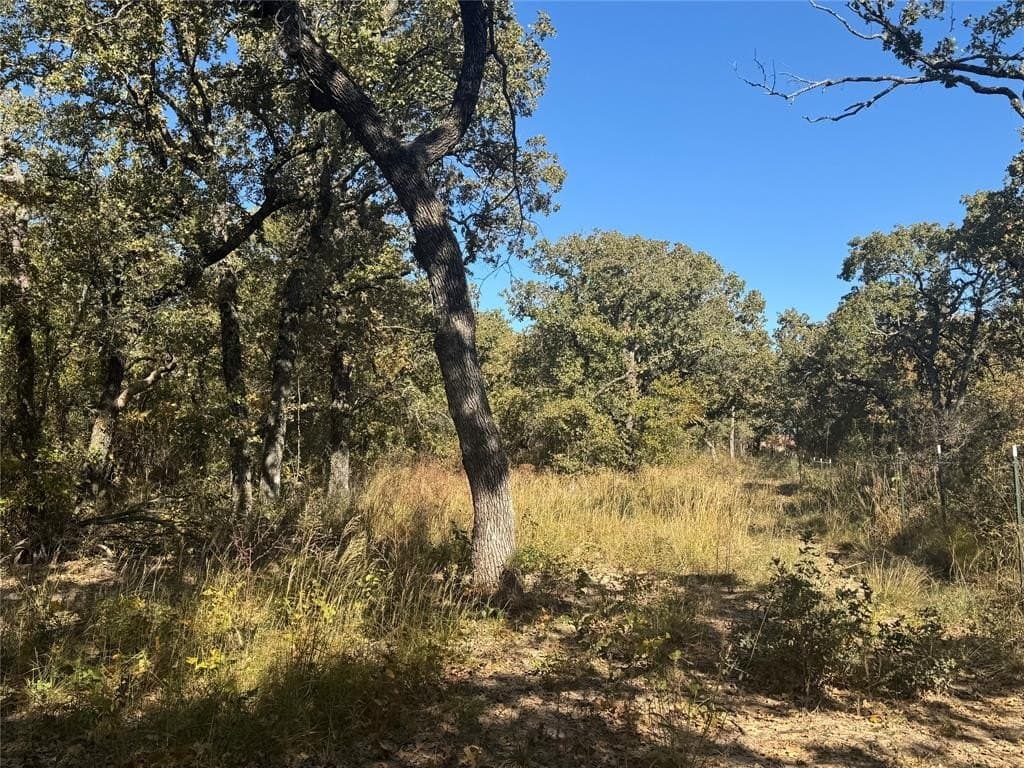 15 acres in Jack County - photo 5