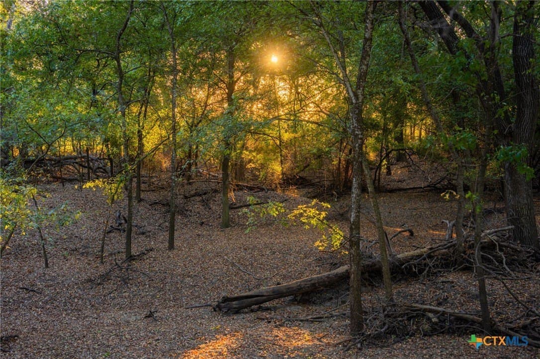 100 acres in Erath County - photo 11