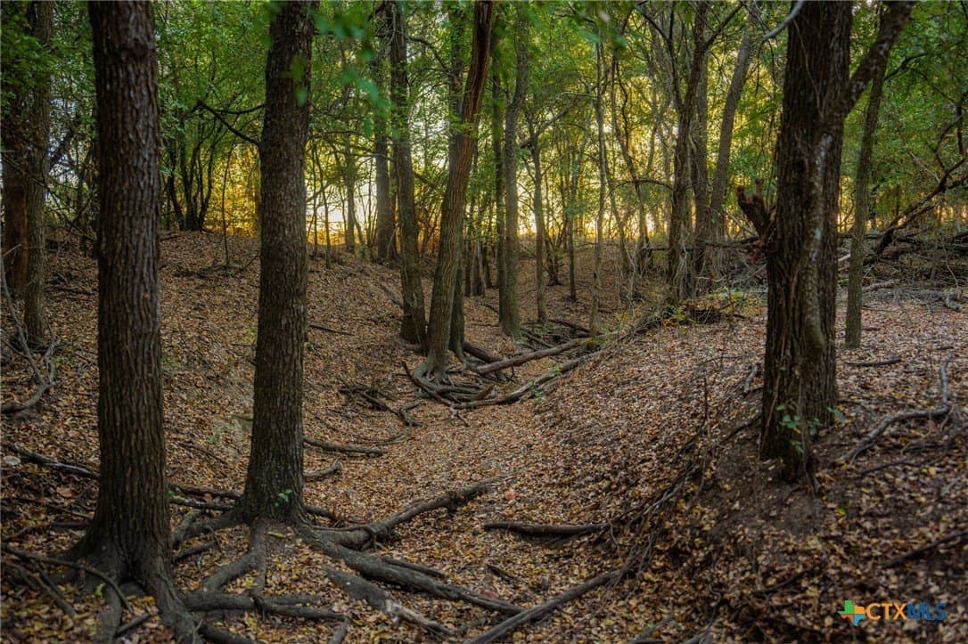 100 acres in Erath County - photo 8