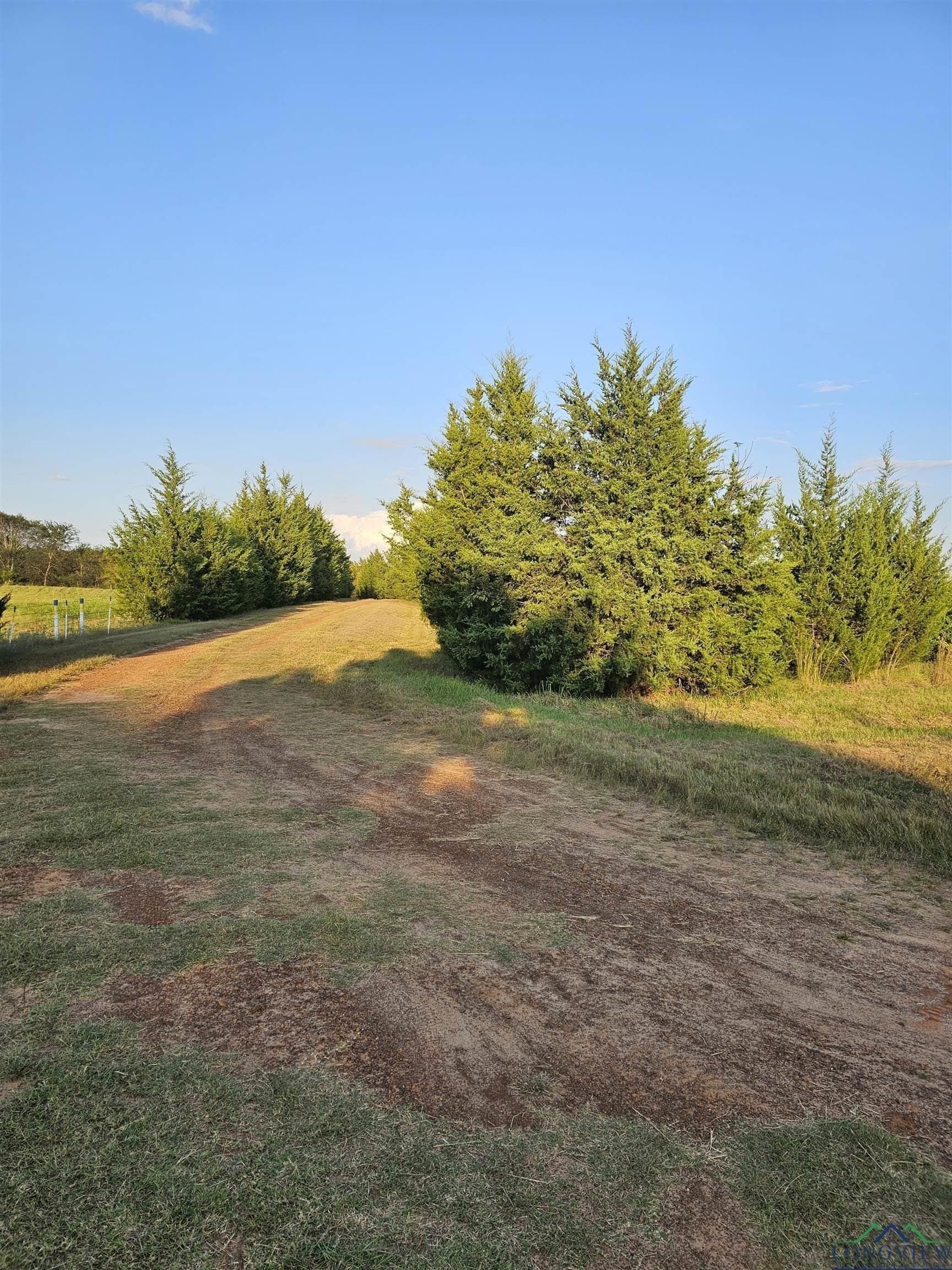 17 acres in Panola County - photo 5