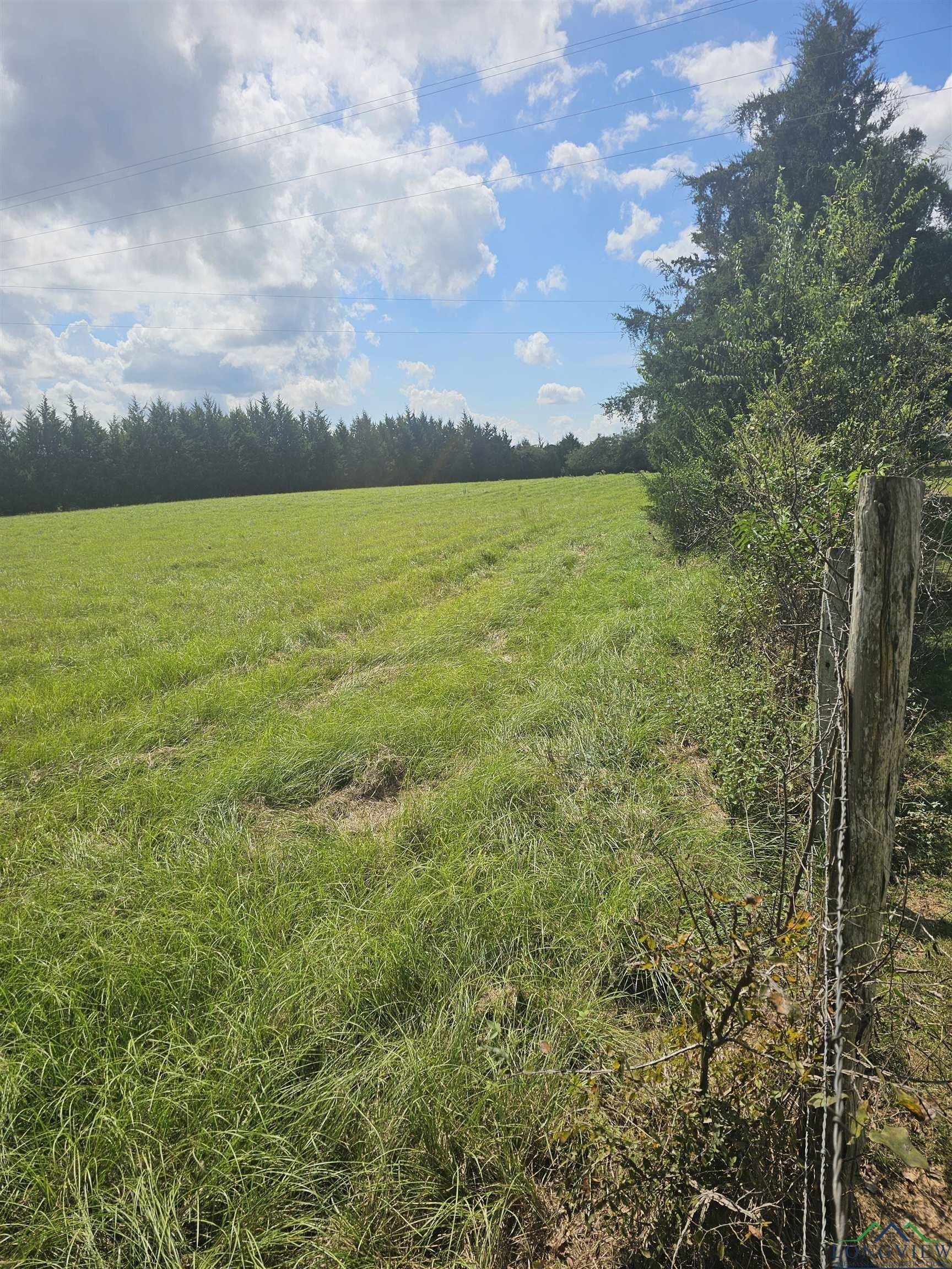 17 acres in Panola County - photo 4