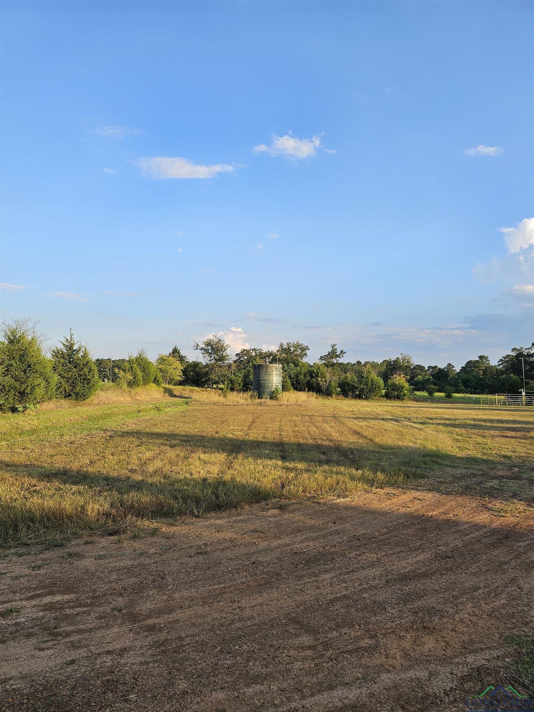 17 acres in Panola County - photo 3