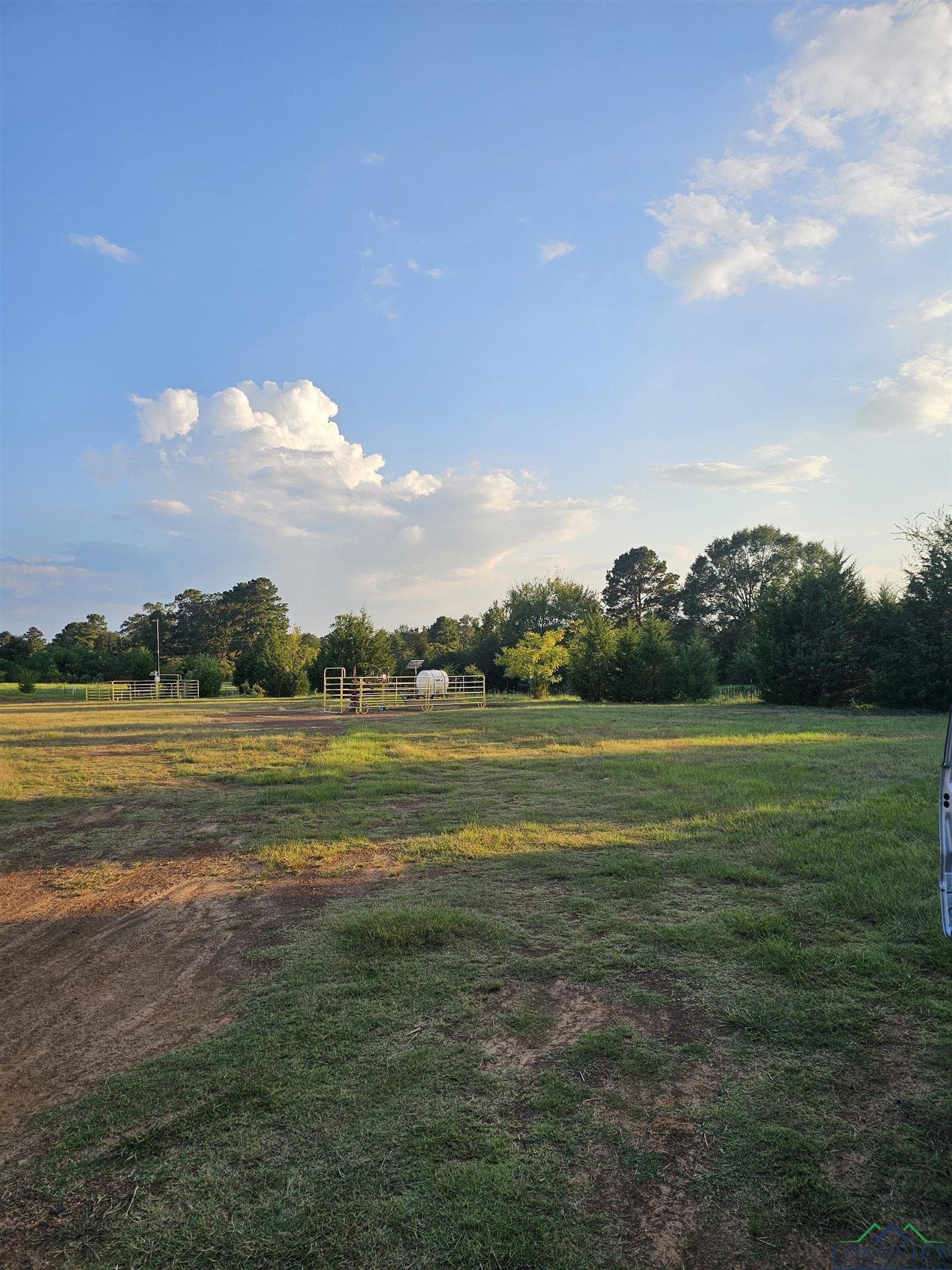 17 acres in Panola County - photo 6