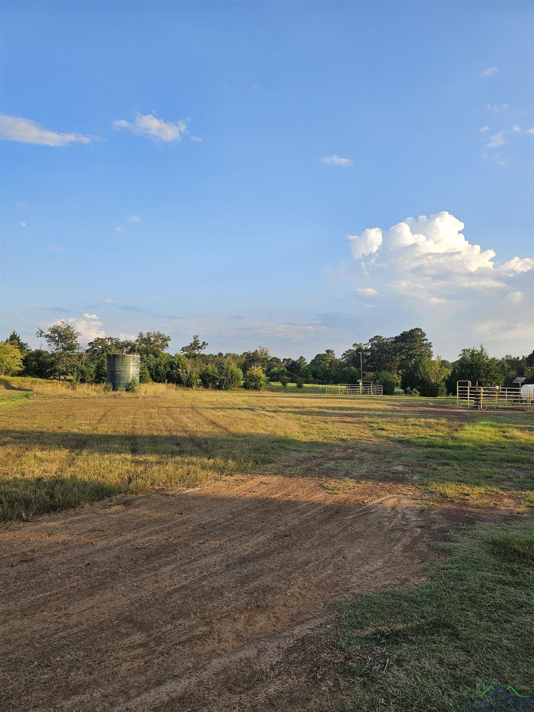 17 acres in Panola County - photo 7
