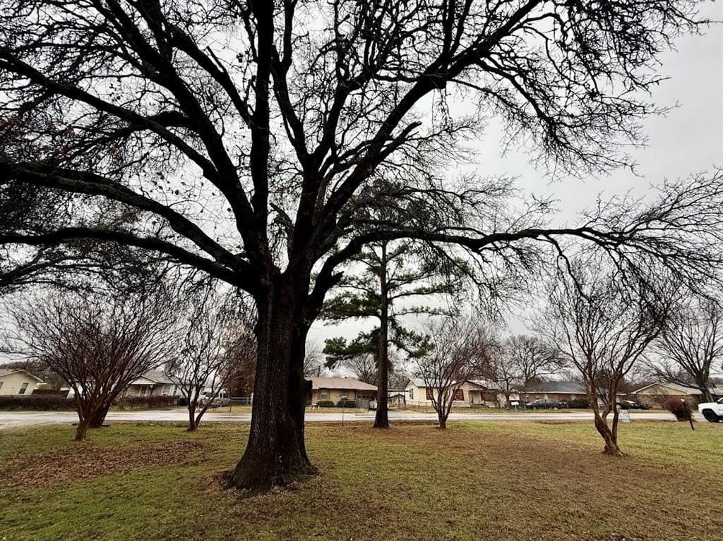 0.26 acres in Tarrant County - photo 10