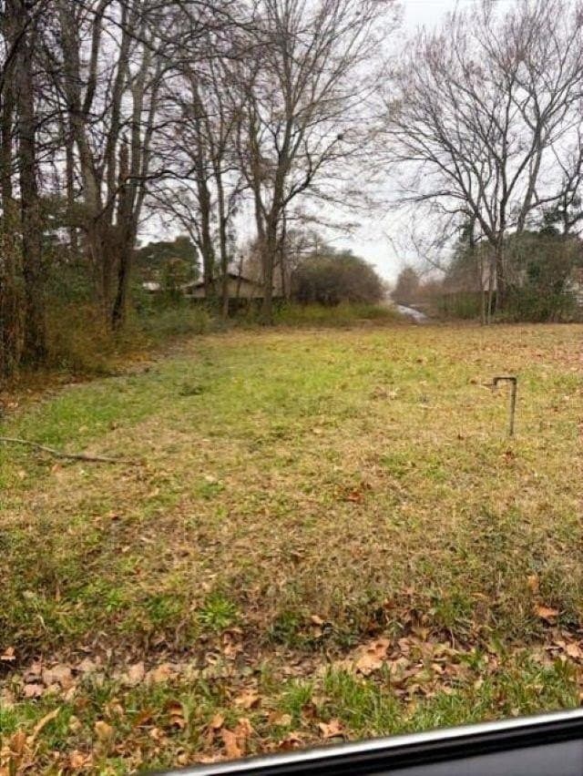 0.18 acres in Texas County - photo 2