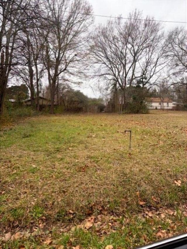 0.18 acres in Texas County - photo 3
