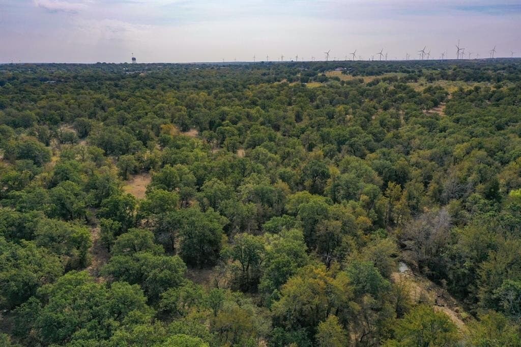 171 acres in Jack County - photo 11