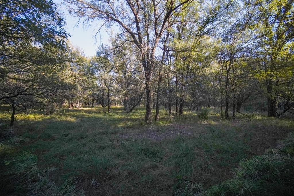 171 acres in Jack County - photo 34