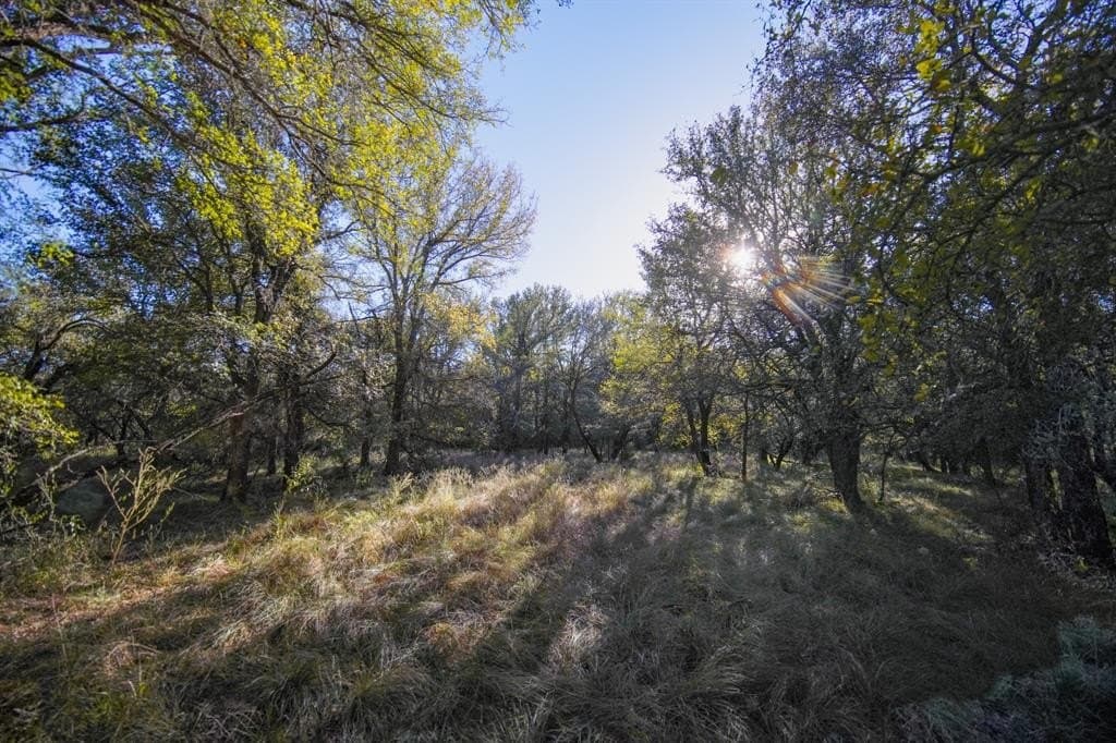 171 acres in Jack County - photo 23