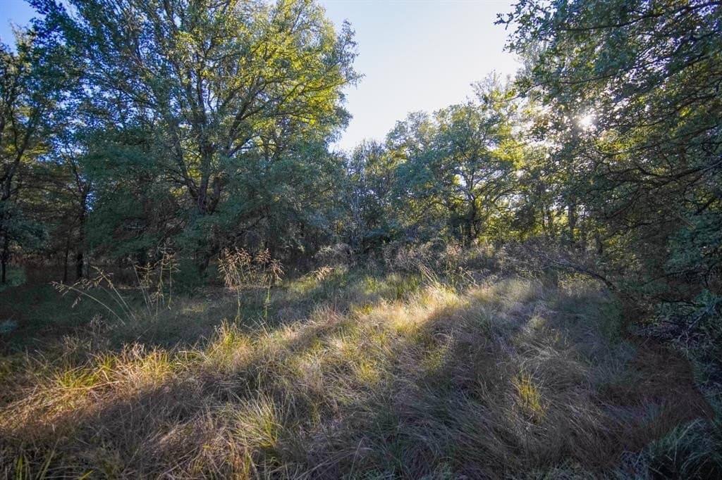 171 acres in Jack County - photo 35