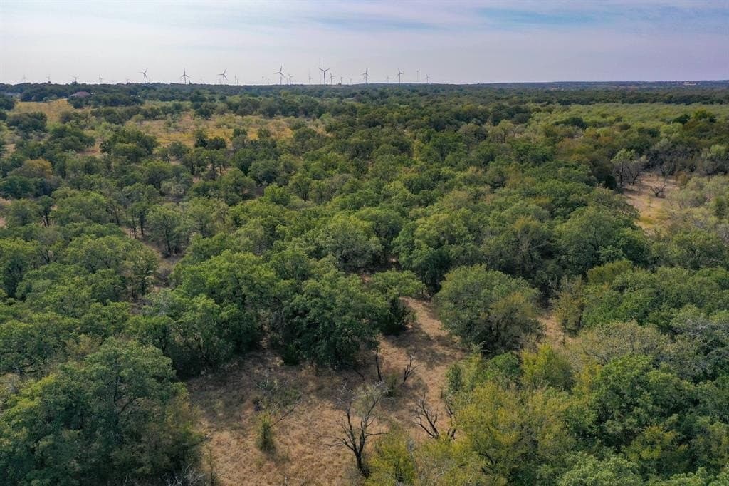 171 acres in Jack County - photo 12