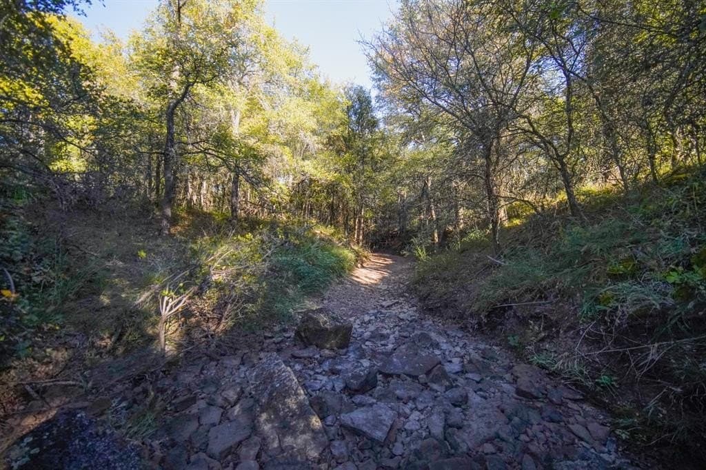 171 acres in Jack County - photo 29