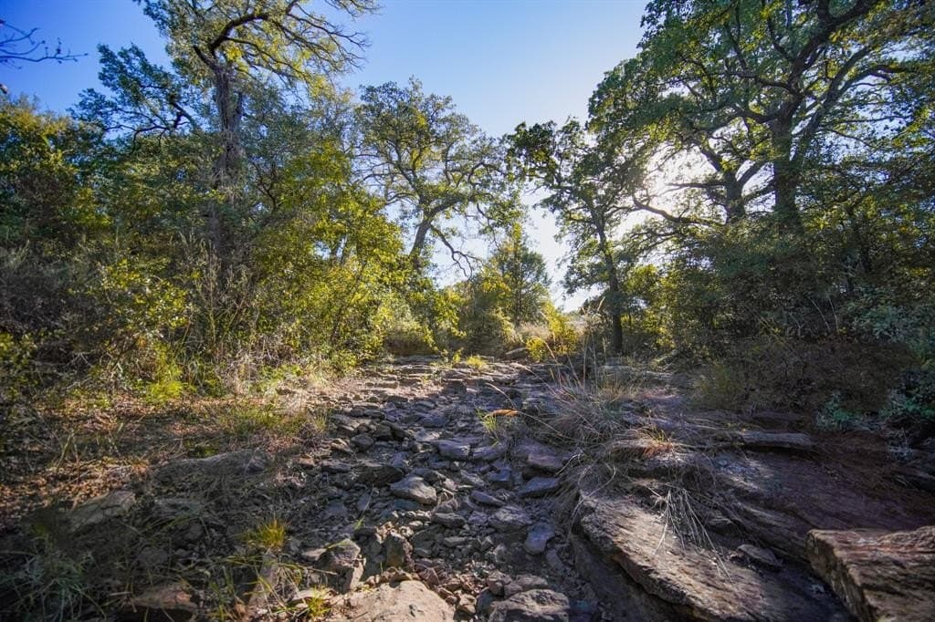 171 acres in Jack County - photo 30