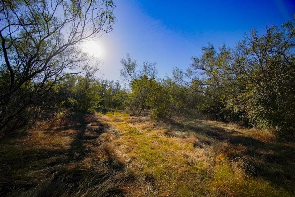 171 acres in Jack County - photo 21