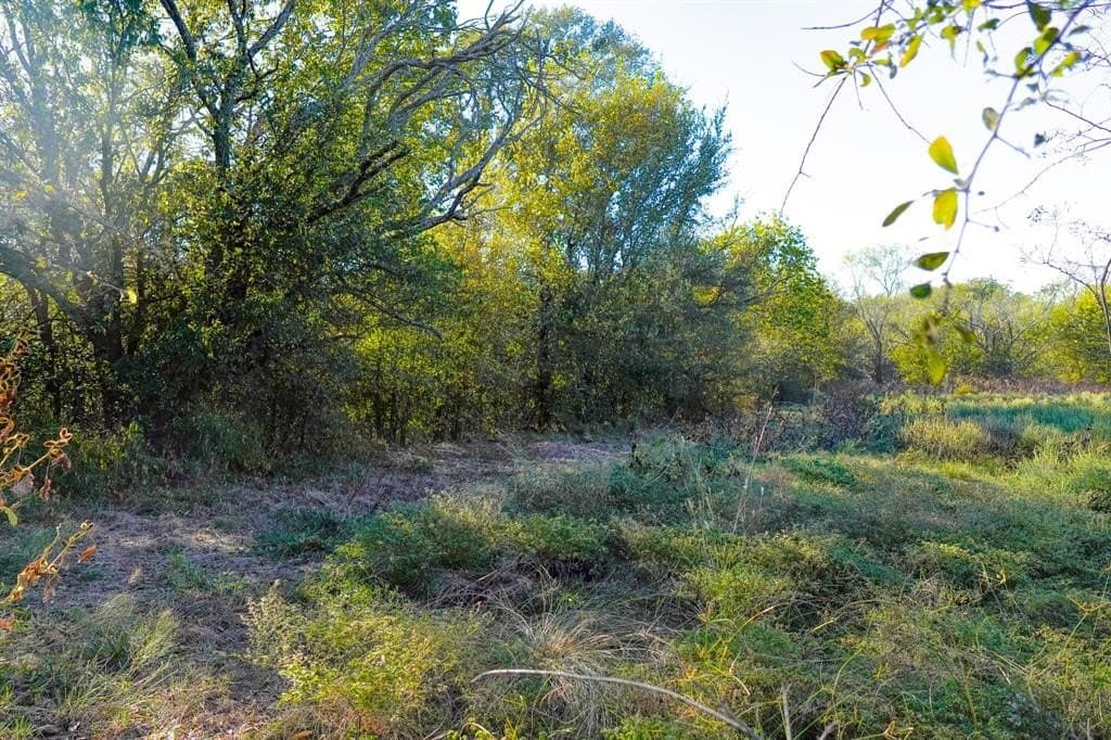 171 acres in Jack County - photo 20