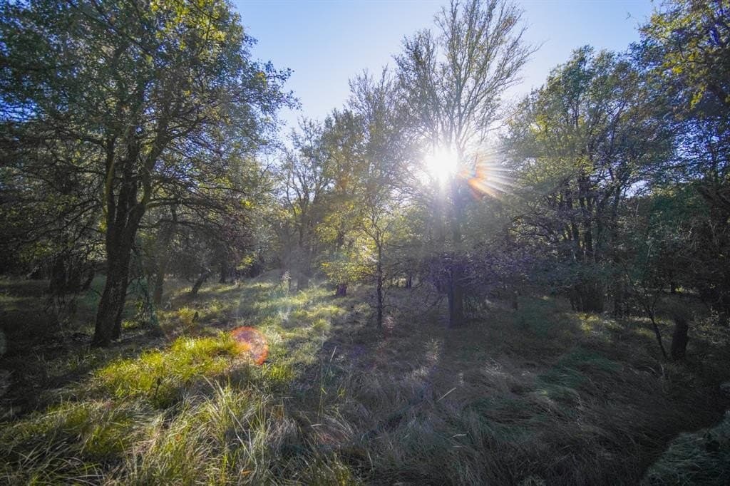 171 acres in Jack County - photo 24