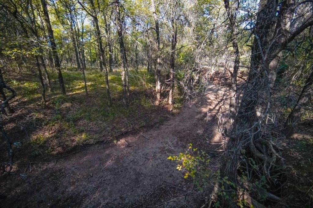 171 acres in Jack County - photo 25