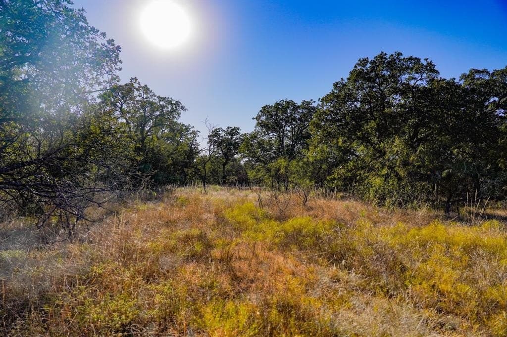 171 acres in Jack County - photo 19