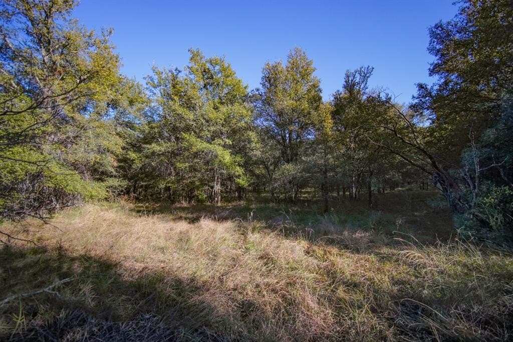 171 acres in Jack County - photo 27
