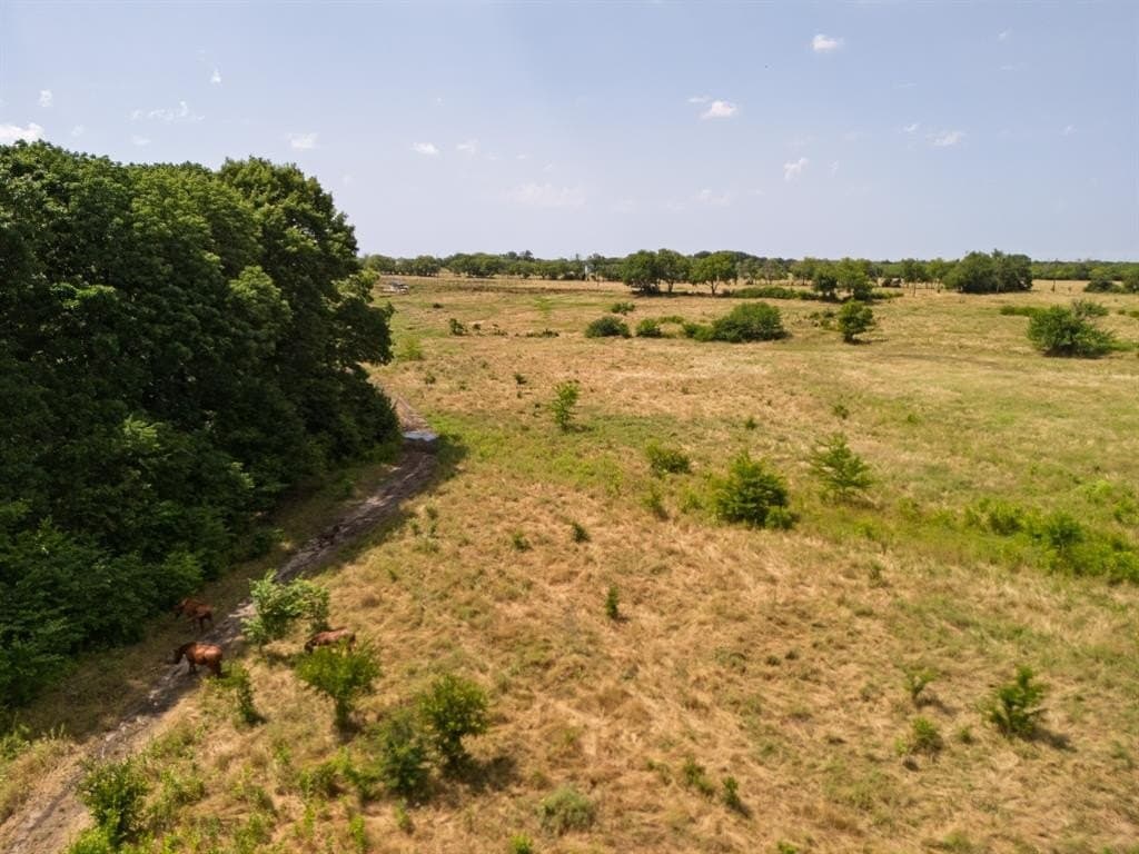 28 acres in Fannin County - photo 24