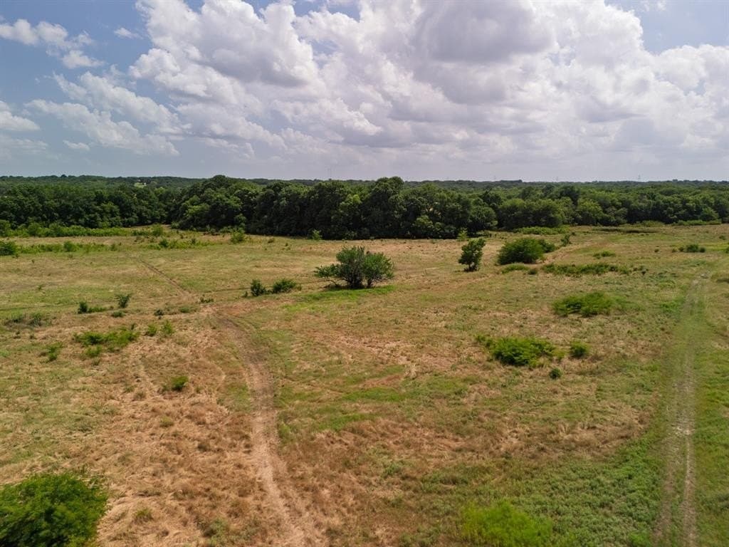 28 acres in Fannin County - photo 16