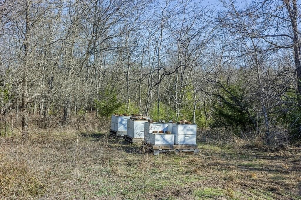 10 acres in Limestone County - photo 11