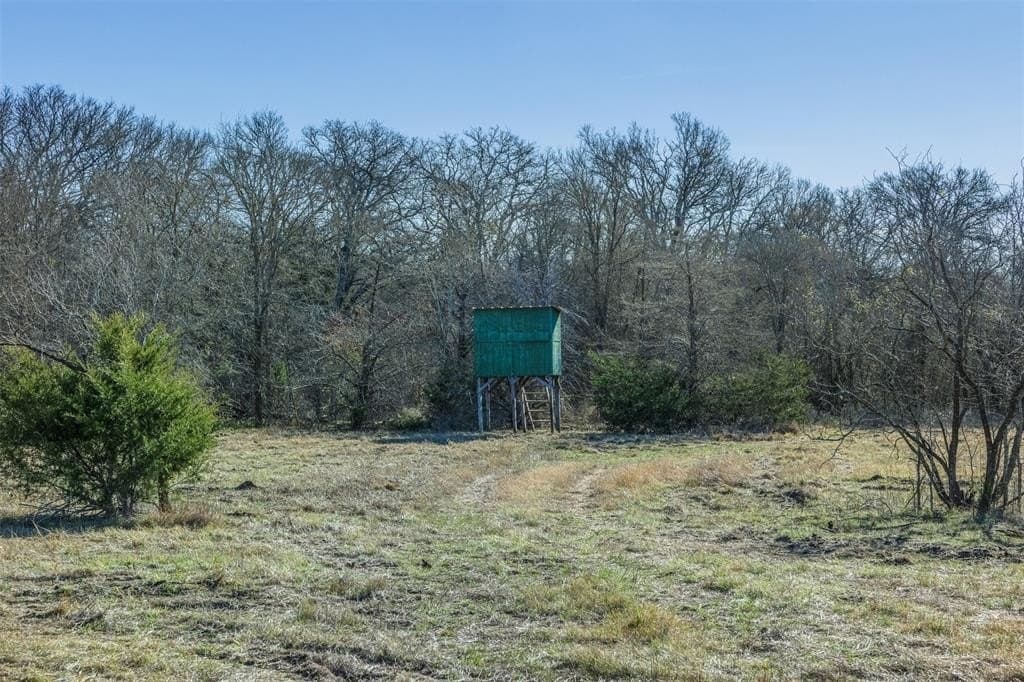 10 acres in Limestone County - photo 13