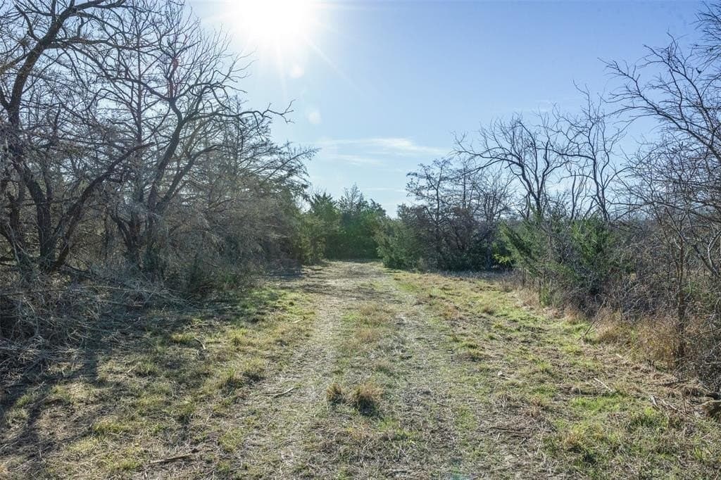 10 acres in Limestone County - photo 9