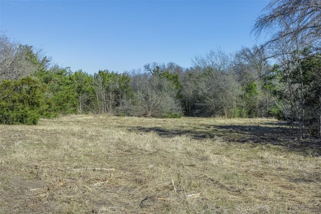10 acres in Limestone County - photo 15