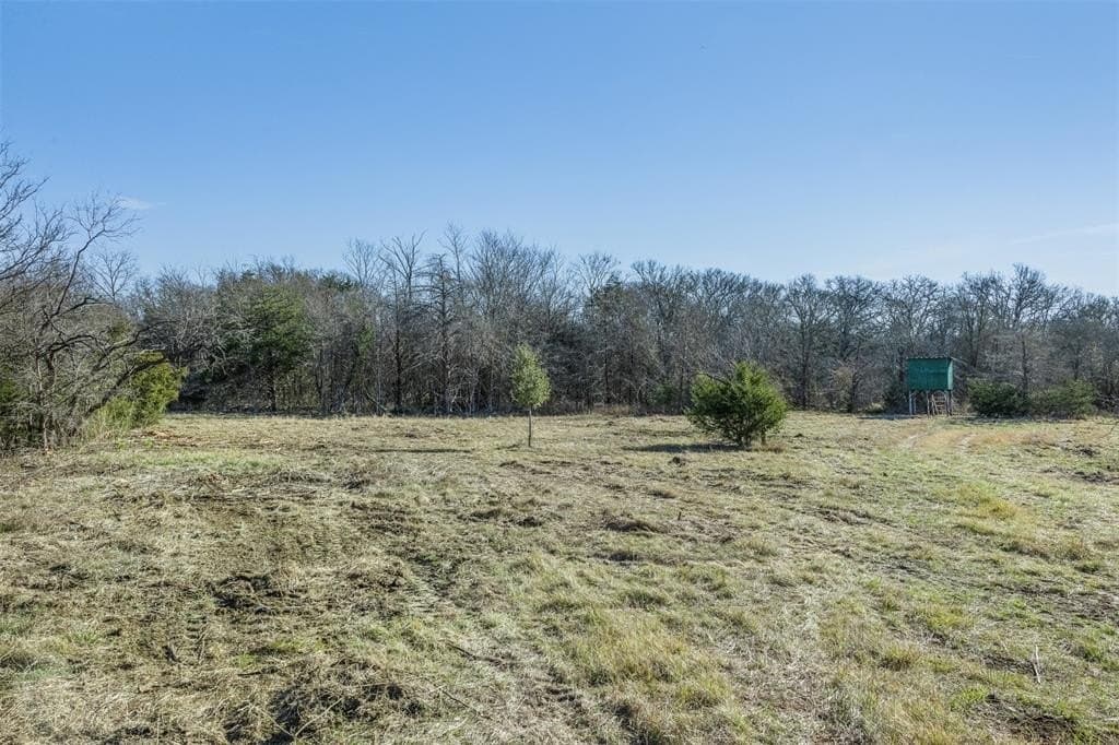 10 acres in Limestone County - photo 14