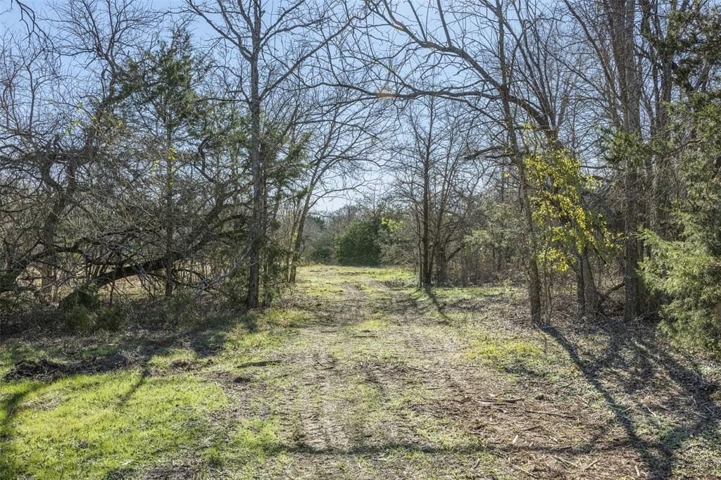 10 acres in Limestone County - photo 12