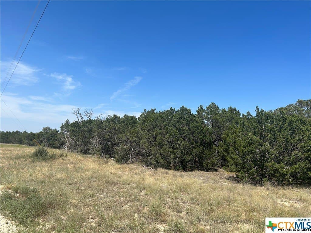 10.01 acres in Hamilton County - photo 12