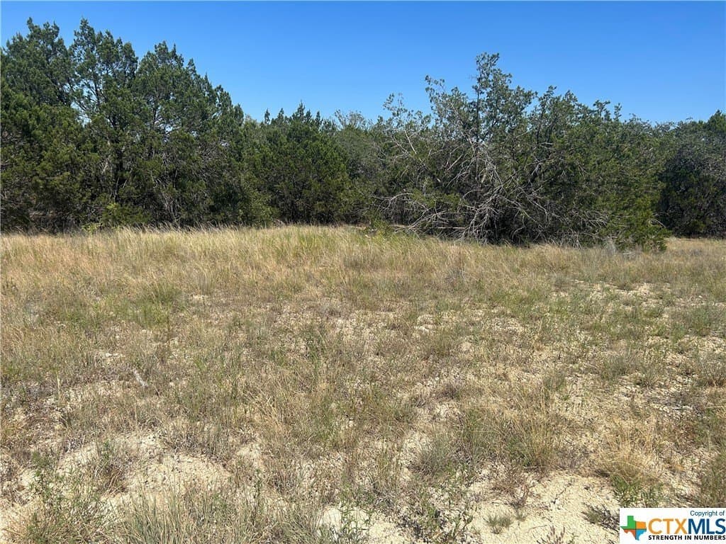 10.01 acres in Hamilton County - photo 9