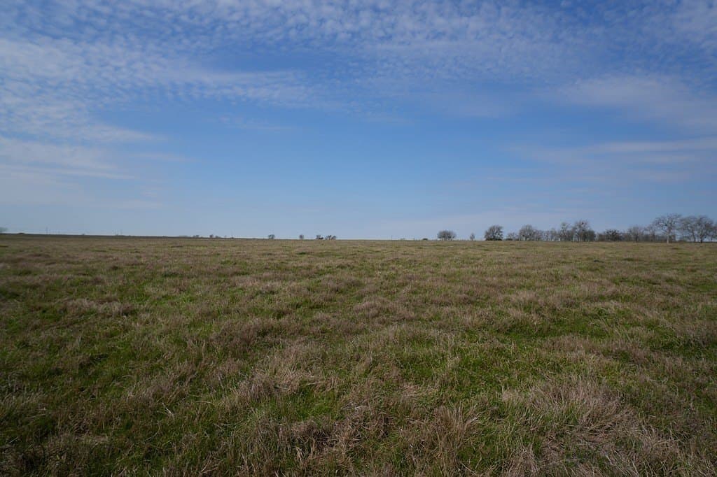 21.56 acres in Fayette County - photo 8