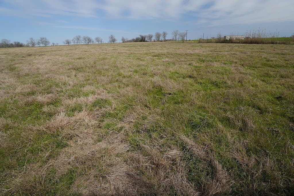 21.56 acres in Fayette County - photo 10