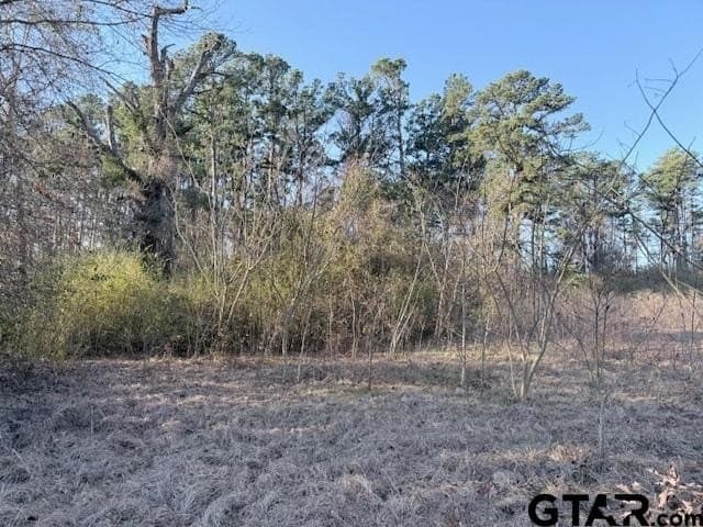 5.7 acres in Smith County - photo 12